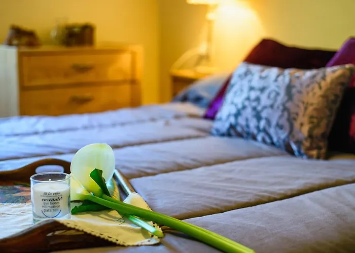 La Casa Antollosdocesar * Baralla